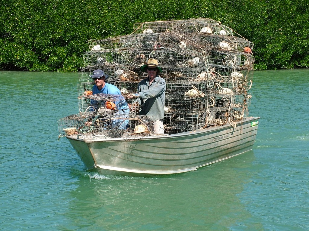 Queensland Rec fishers reminded about crab rules